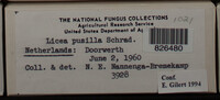 Image Associated With the Occurence